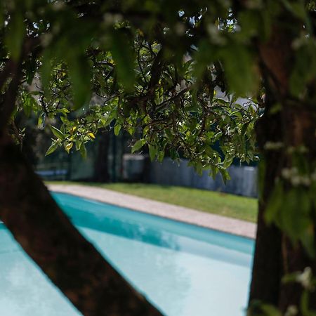 Casa Do Vale -Villa Rio Minho-Seixas-Каміня Екстер'єр фото